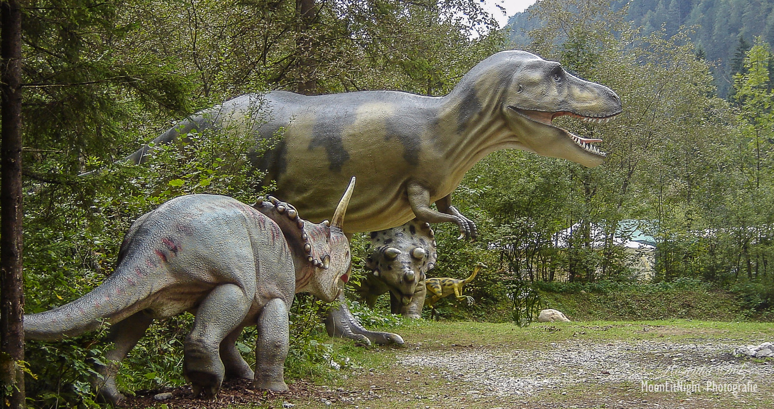 Dinosaurier Die Giganten Der Urzeit